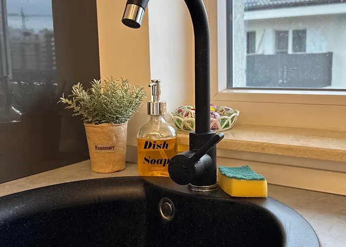 91 Free Parking Bükreş